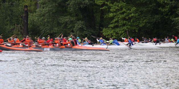 FRVS Rund um Scharfenberg Berlin