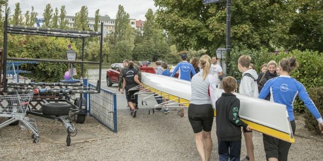 Rudervierer auf dem Weg zum Wasser