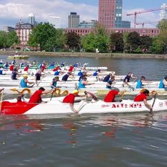 Start mehrerer 6er Mannschafts Auslegerkanus vor der Skyline von Frankfurt am Main